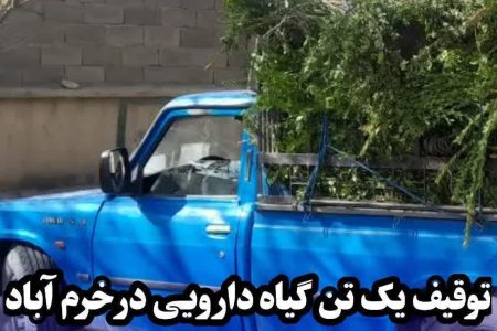 کشف یک تن گیاه دارویی در خرم آباد