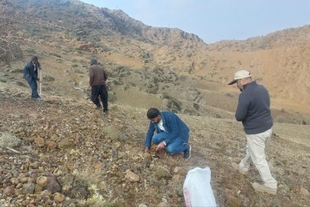 کاشت بلوط در ارتفاعات مخملکوه لرستان