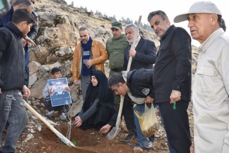 کاشت ۵ هزار اصله نهال در لرستان