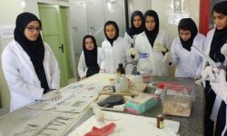 اجرای طرح «هر دانش‌آموز یک پژوهش کوچک» در لرستان