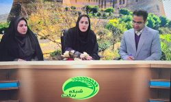 «کشاورزی حفاظتی» راهکار کلیدی برای مقابله با تغییرات اقلیمی
