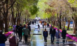 توسعه شهری گامی در اجرای عدالت و رعایت حقوق شهروندی است