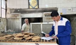 تشکیل ۲۵ پرونده تعزیراتی برای نانوایی‌های متخلف کوهدشت