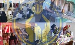 اجرای ۹۴۳ طرح اشتغال زایی کمیته امداد لرستان در دهه فجر