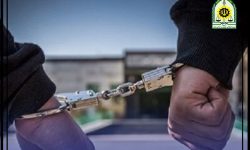دستگیری ۷ سارق و کشف ۱۳ فقره سرقت در کوهدشت
