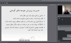 پرورش علمی جوجههای گوشتی؛مسیر تازه در صنعت طیور لرستان