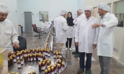 افتتاح طرح توسعه شرکت داروسازی بروجرد با حضور رئیس‌جمهور