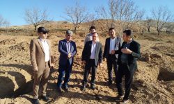 پیشرفت ۹۰ درصدی نخستین گلخانه بلوبری لرستان