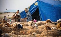 تأمین آرد،گاز و سوخت عشایر لرستان در شرایط جنگ