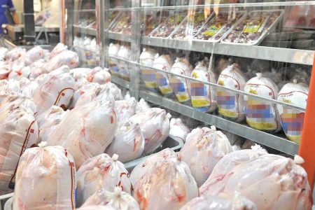 لرستان پیشتاز در اجرای طرح تولید قراردادی گوشت مرغ