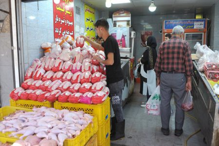 عرضه ۳۸۸ تن مرغ به بازار لرستان
