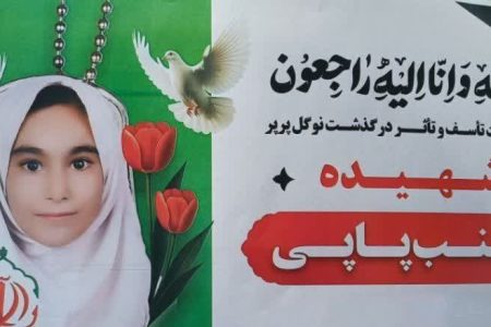 لرستان در سوگ ۴ دانش‌آموز شهید؛پرواز «زینب پاپی» در آسمان بروجرد