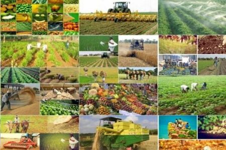 «تأمین پایدار کالاهای اساسی و تضمین امنیت غذایی» در مسیر تحقق شعار سال