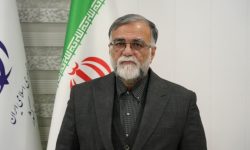 برگزاری انتخابات در شرایط جنگی نشانه کارآمدی نظام است