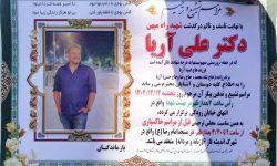 شهادت پزشک بروجردی در حملات تجاوز اخیر
