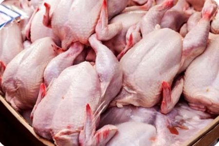 عرضه ۲ میلیون قطعه مرغ گوشتی در لرستان