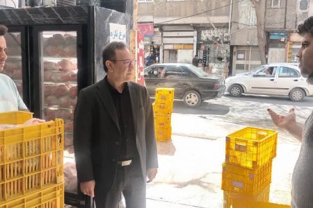 توزیع ۲۹۵ تن گوشت مرغ در لرستان
