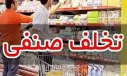 تشکیل ۶۰۰ پرونده برای واحدهای صنفی متخلف لرستان