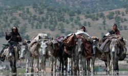 آغاز کوچ بهاره عشایر لرستان به مناطق ییلاقی