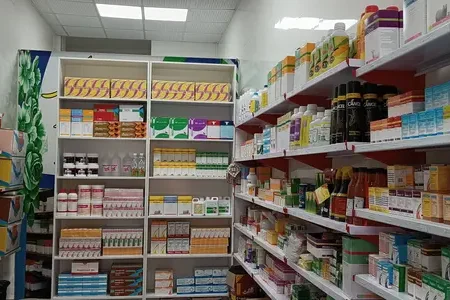 فعالیت ۱۱۵ داروخانه دامی در لرستان