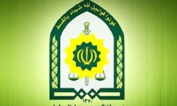 کشف ۲ محموله مرغ و ماهی فاقد مجوز در رومشکان