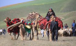 کوچ بهاره ۷۰۰ خانوار عشایری در بروجرد