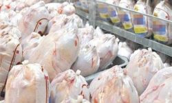 توزیع ۳۵۵ تن گوشت مرغ در بازار لرستان