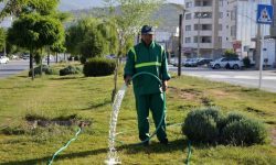 هشدار درباره مصرف آب شرب در فضاهای سبز لرستان