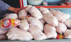 عرضه ۱۵۱ تن گوشت مرغ در بازار لرستان