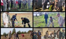 پیوستن محیط‌زیست لرستان به پویش «سرو ایران» به یاد شهدای جنگ رمضان