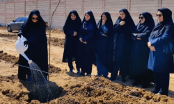 ۳۰ میلیون درخت سهم لرستان از پویش یک میلیارد درخت
