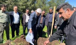 آغاز پویش کاشت ۳۰ میلیون نهال در لرستان