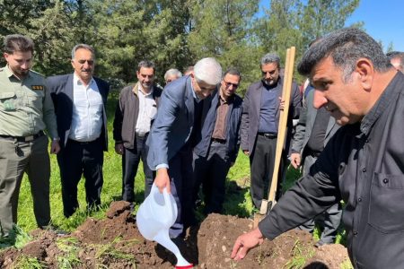 آغاز پویش کاشت ۳۰ میلیون نهال در لرستان