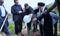 کاشت نهال در پارک جنگلی «شوراب» خرم‌آباد