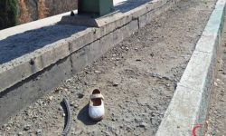 یک لنگه کفش؛یک دنیا فریاد