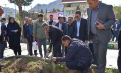 پویش درخت کاری «نهال امید» به مناسبت اربعین رهبر شهید و شهدای میناب+تصاویر