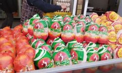 توزیع بیش از ۲۱۴ تن گوشت مرغ گرم در لرستان