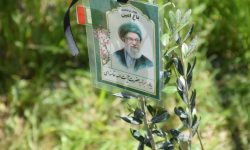 کاشت ۷.۵ میلیون نهال در لرستان