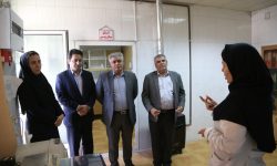 امنیت غذایی و حمایت از تولیدکنندگان اولویت اصلی اتاق بازرگانی لرستان