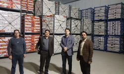 انجام ۹۴۰۰ بازرسی در ۵۰ روز جنگ رمضان