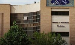کسب نشان طلایی کنگره بین‌المللی ایتالیا توسط عضو هیئت علمی دانشگاه لرستان