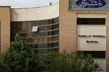 کسب نشان طلایی کنگره بین‌المللی ایتالیا توسط عضو هیئت علمی دانشگاه لرستان