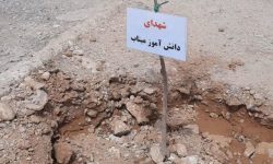 کاشت درخت به نیابت از شهیدان در گلزار شهدای خرم‌آباد