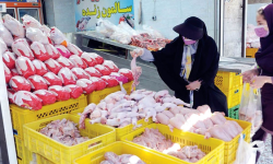 عرضه بیش از هزار تن گوشت مرغ در بازار لرستان