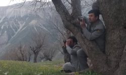 به‌کارگیری ۱۰۰ دیده‌بان برای حفاظت از منابع طبیعی لرستان