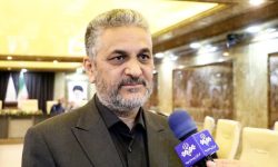عرضه فراوان مرغ گرم تا چند روز آینده در کشور
