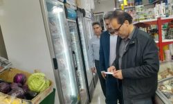 تشکیل ۲۶ پرونده تخلف در بازار چگنی