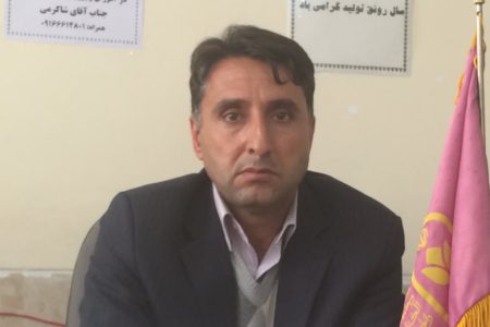 دانش‌آموزان لرستانی در پویش‌های ورزشی کشور درخشیدند