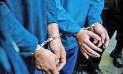دستگیری عاملان کشتار پرندگان در پلدختر