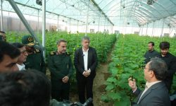 اجرای ۱۵۵۰ پروژه «آبخیز تا جالیز» توسط بسیج سازندگی در کشور